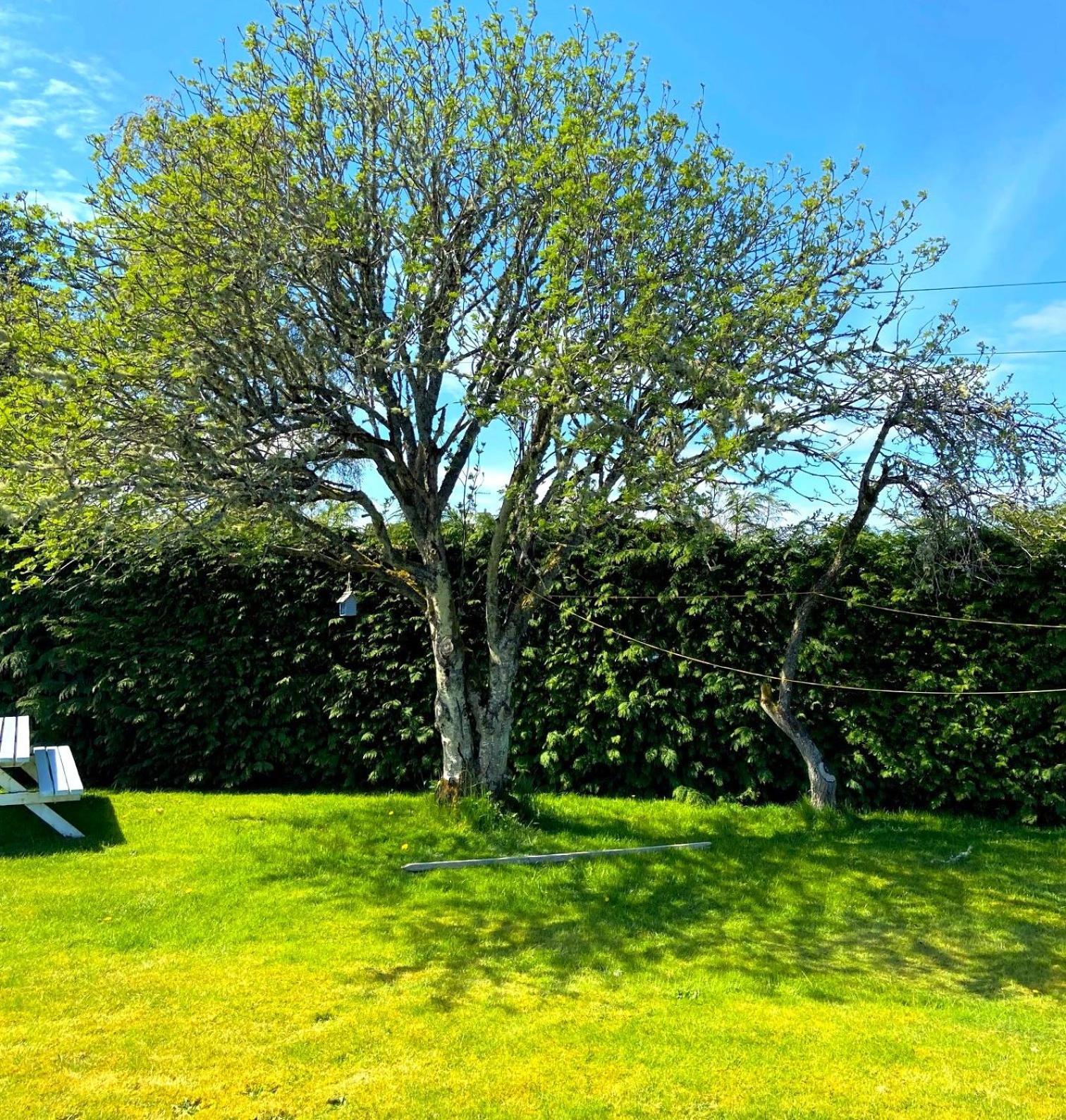 26 Green Drive Inverness Inshes Εξωτερικό φωτογραφία